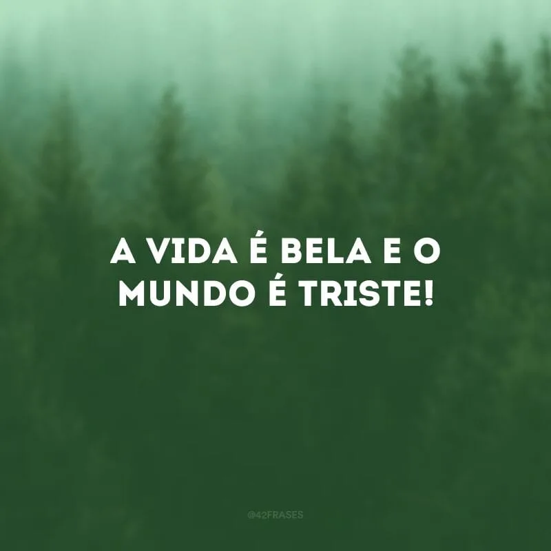 A vida é bela e o mundo é triste!
