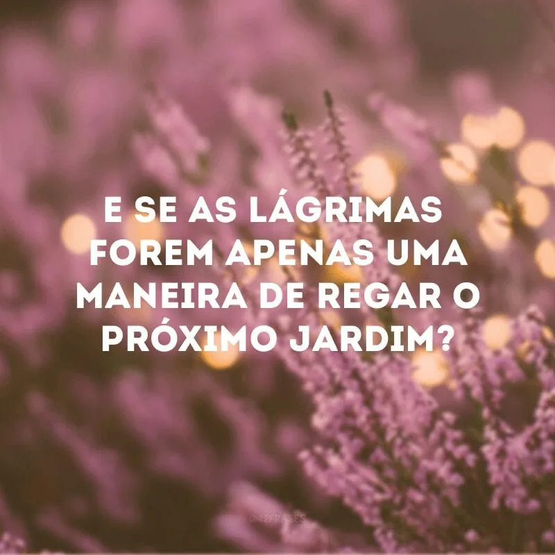 E se as lágrimas forem apenas uma maneira de regar o próximo jardim?