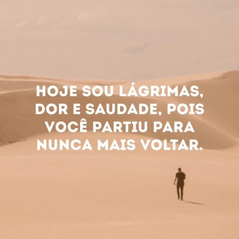 Hoje sou lágrimas, dor e saudade, pois você partiu para nunca mais voltar.
