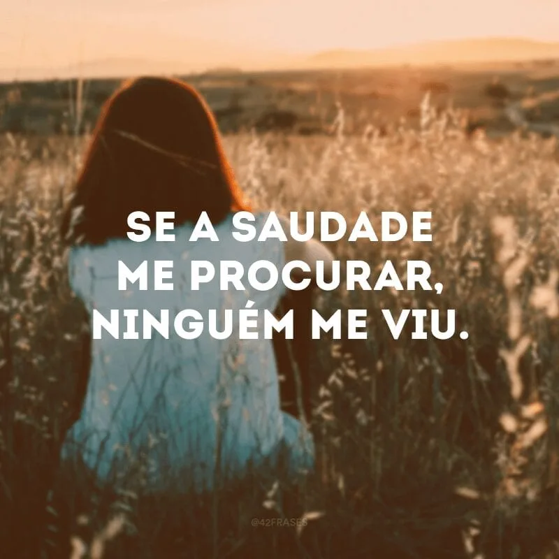 Se a saudade me procurar, ninguém me viu.