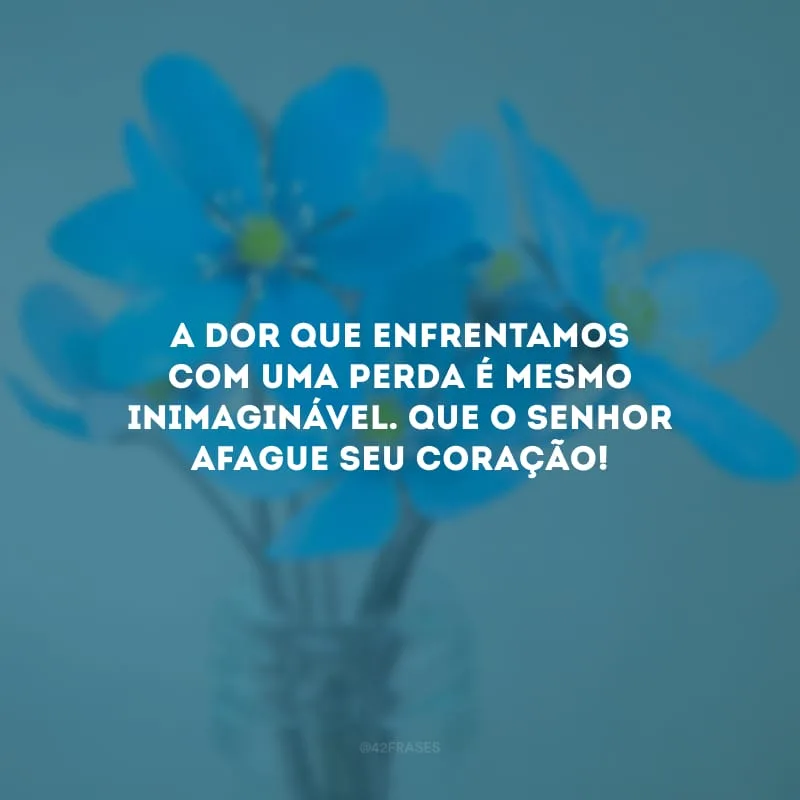 A dor que enfrentamos com uma perda é mesmo inimaginável. Que o Senhor afague seu coração!