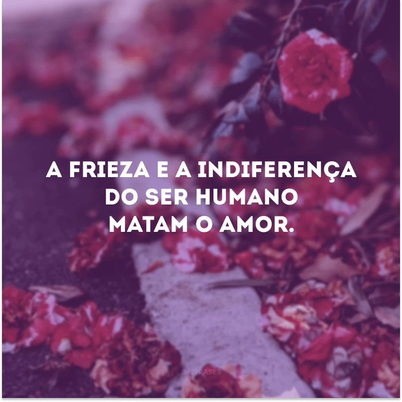 A frieza e a indiferença do ser humano matam o amor.