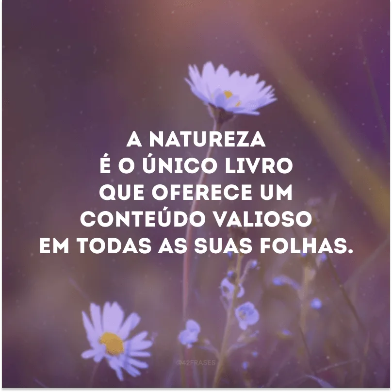 A natureza é o único livro que oferece um conteúdo valioso em todas as suas folhas.