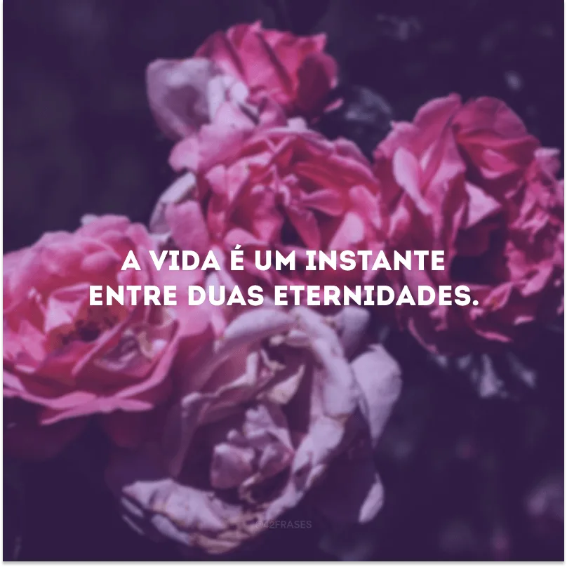 A vida é um instante entre duas eternidades.