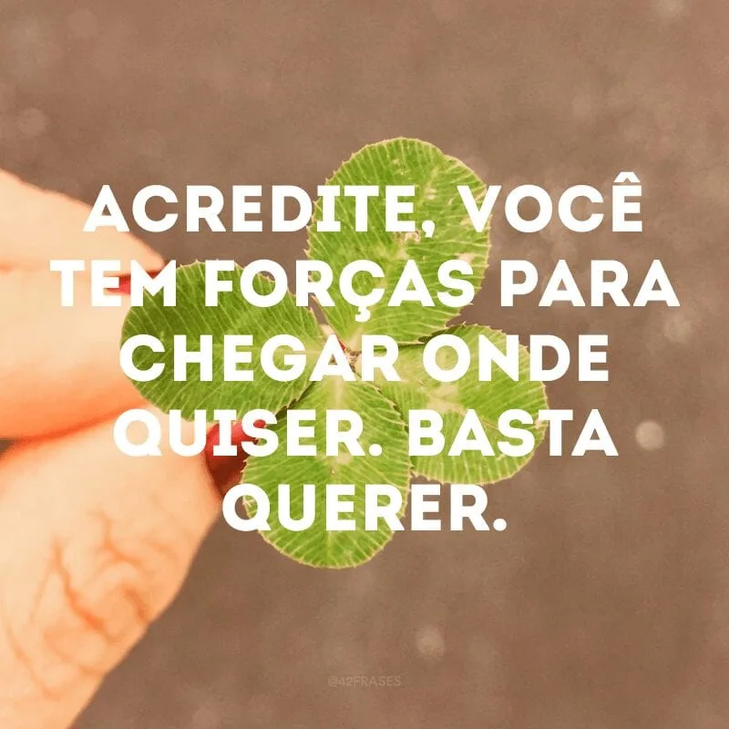 Acredite, você tem forças para chegar onde quiser. Basta querer.
