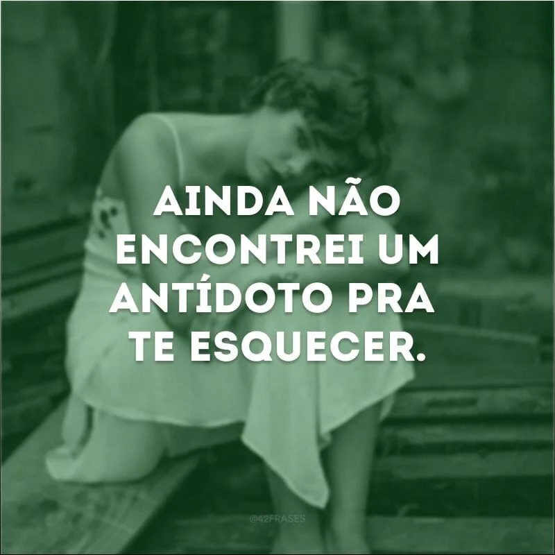 Ainda não encontrei um antídoto pra te esquecer. 