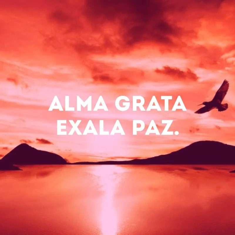 Alma grata exala paz. 