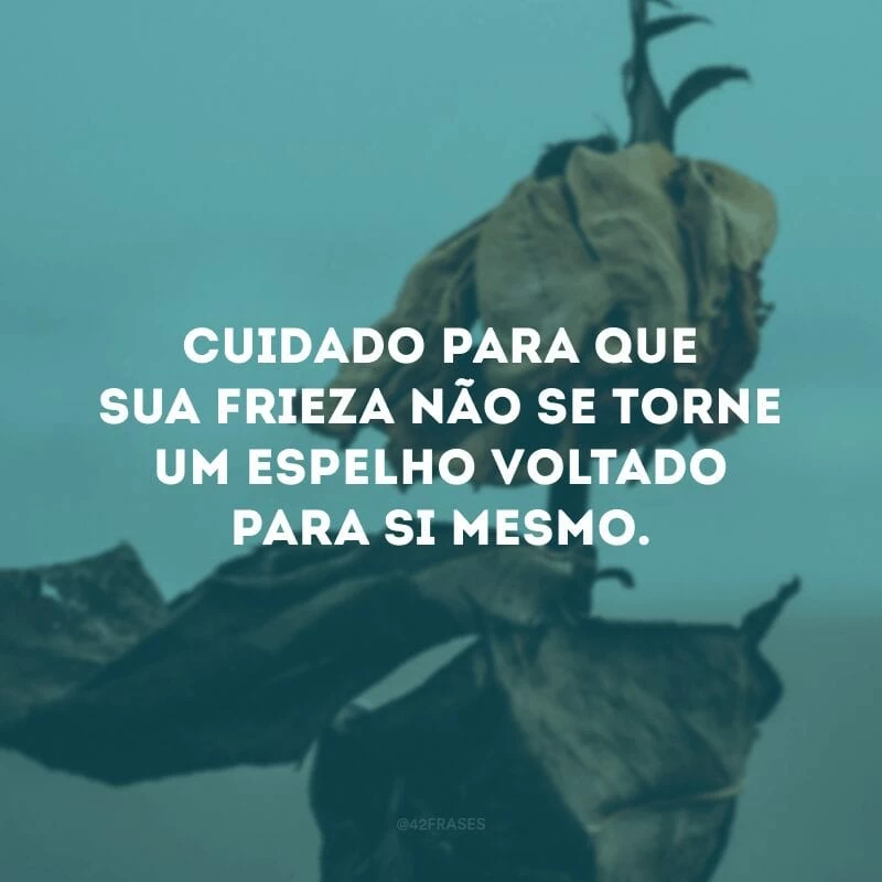 Cuidado para que sua frieza não se torne um espelho voltado para si mesmo.
