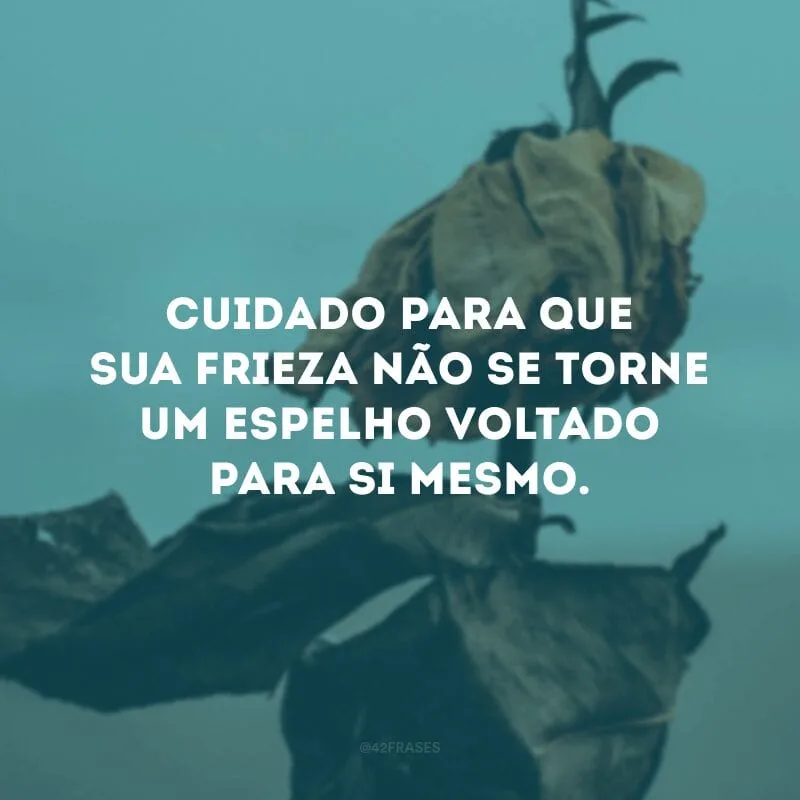 Cuidado para que sua frieza não se torne um espelho voltado para si mesmo.