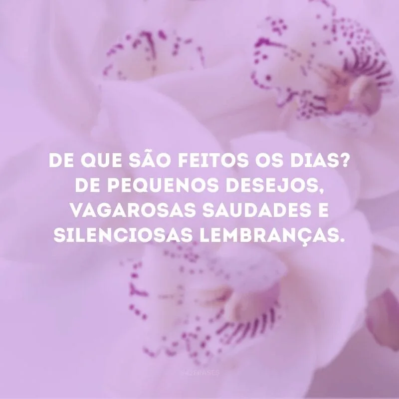 De que são feitos os dias? De pequenos desejos, vagarosas saudades e silenciosas lembranças.