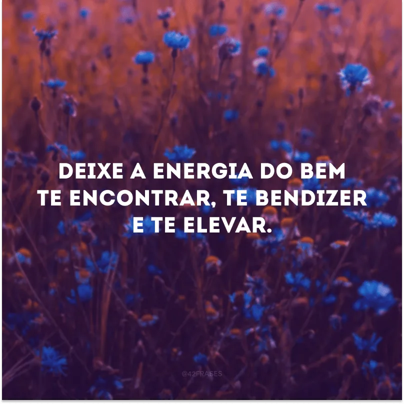 Deixe a energia do bem te encontrar, te bendizer e te elevar. 