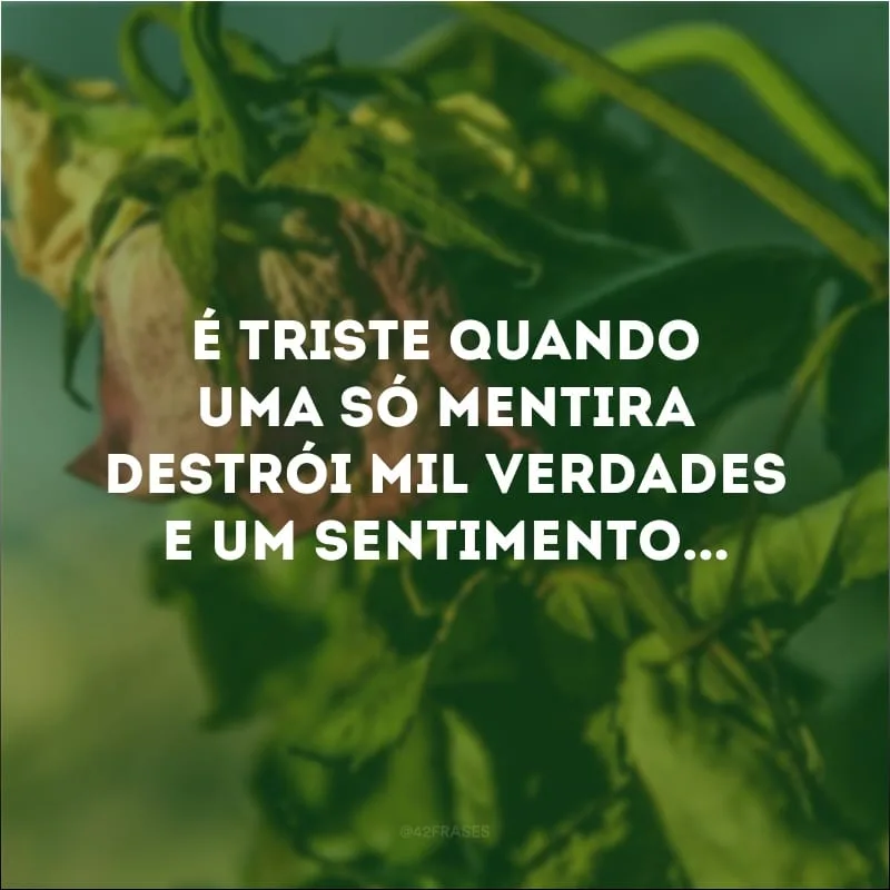 É triste quando uma só mentira destrói mil verdades e um sentimento...