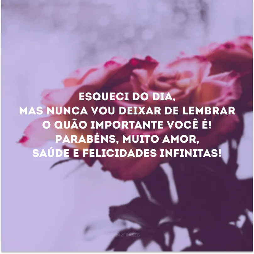 Esqueci do dia, mas nunca vou deixar de lembrar o quão importante você é! Parabéns, muito amor, saúde e felicidades infinitas!