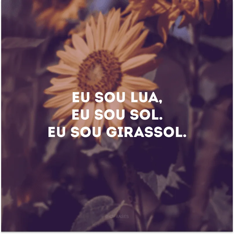 Eu sou lua, eu sou sol. Eu sou girassol. 