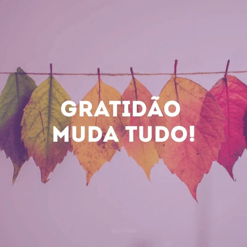 Gratidão muda tudo!