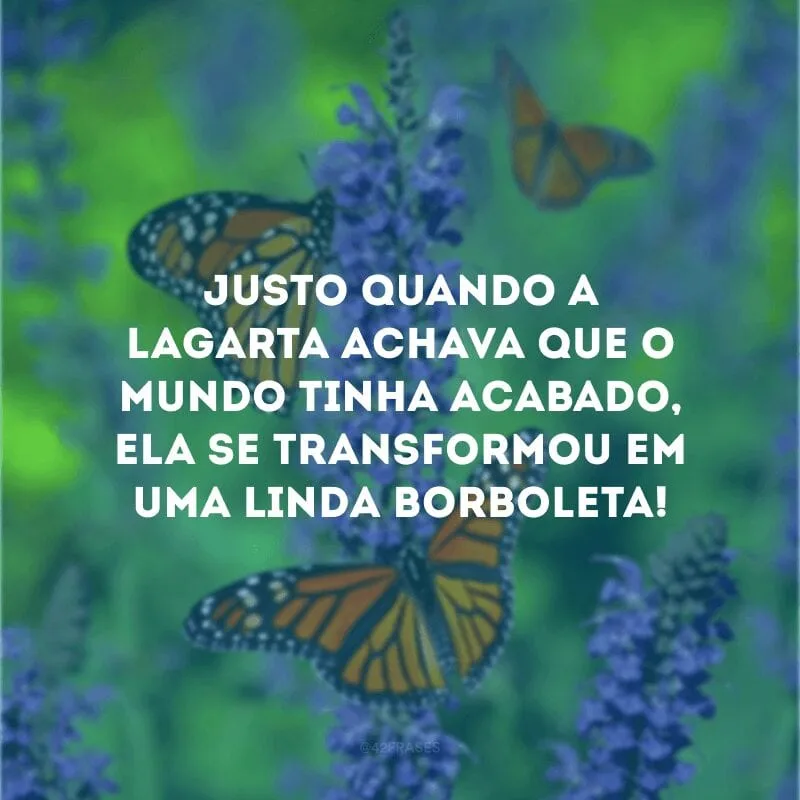 Justo quando a lagarta achava que o mundo tinha acabado, ela se transformou em uma linda borboleta! 