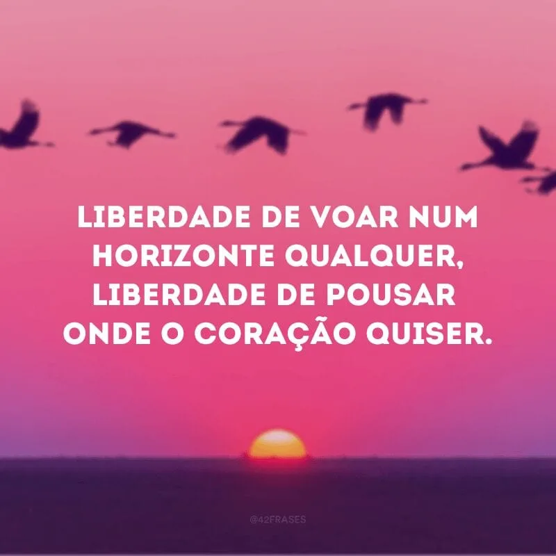 Liberdade de voar num horizonte qualquer, liberdade de pousar onde o coração quiser.