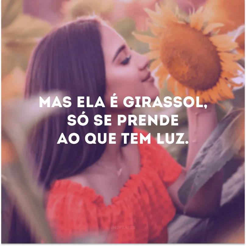 Mas ela é girassol, só se prende ao que tem luz. 