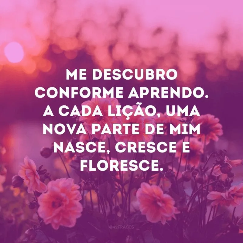 Me descubro conforme aprendo. A cada lição, uma nova parte de mim nasce, cresce e floresce. 