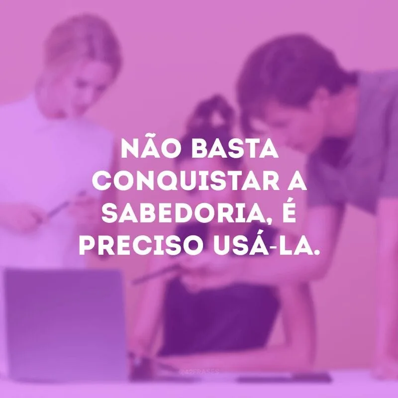 Não basta conquistar a sabedoria, é preciso usá-la.