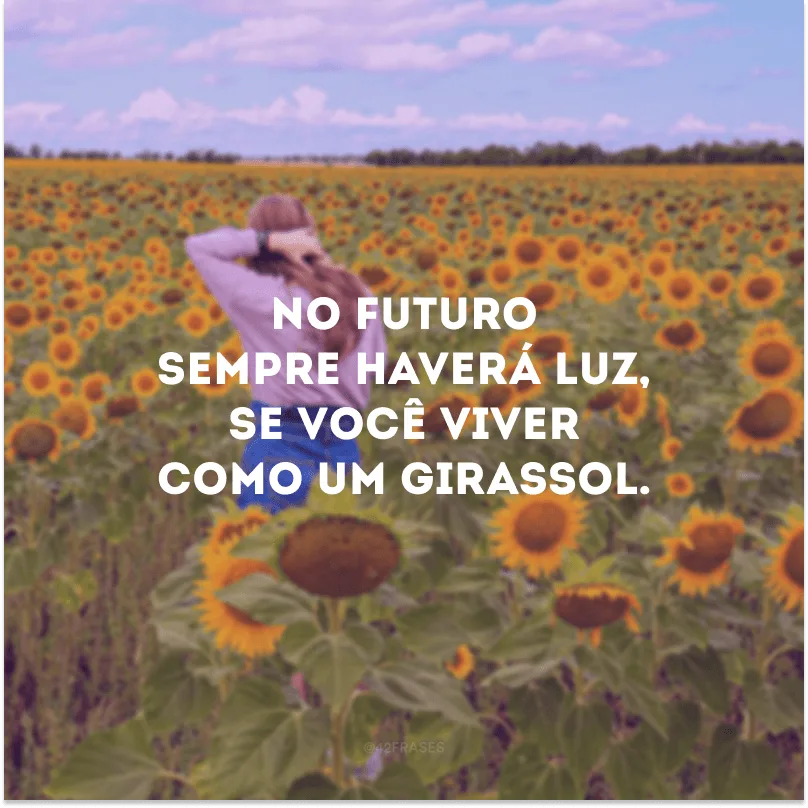No futuro sempre haverá luz, se você viver como um girassol. 