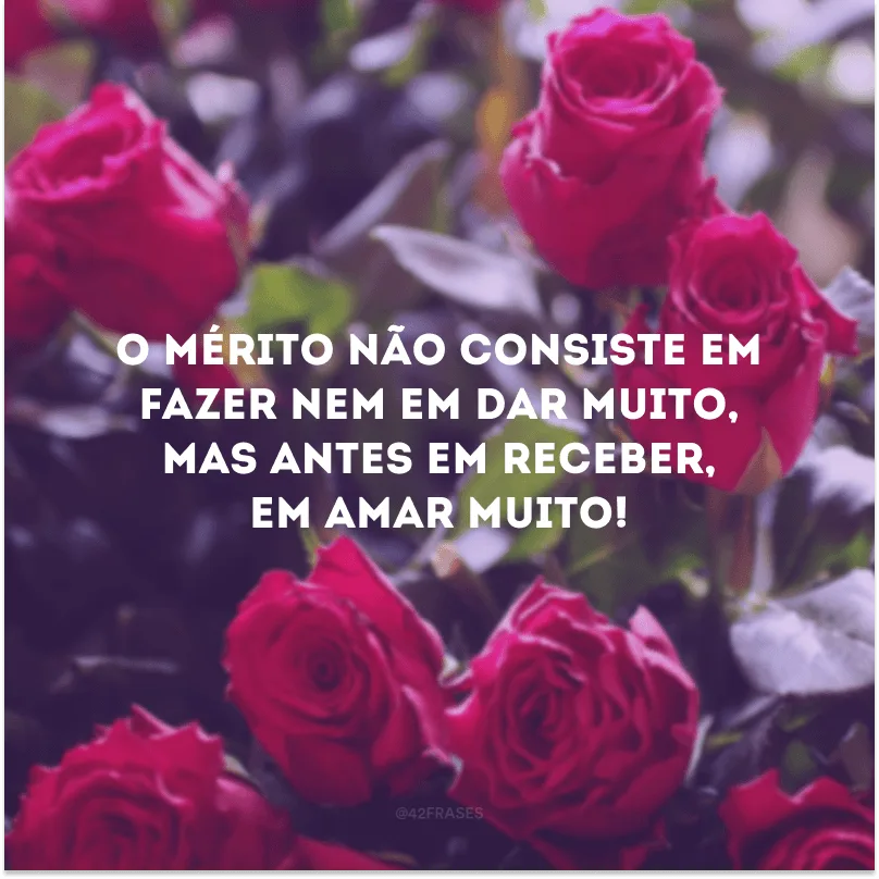 O mérito não consiste em fazer nem em dar muito, mas antes em receber, em amar muito!