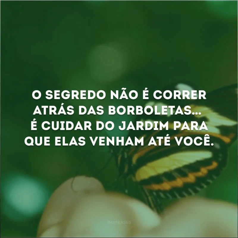 O segredo não é correr atrás das borboletas… É cuidar do jardim para que elas venham até você.