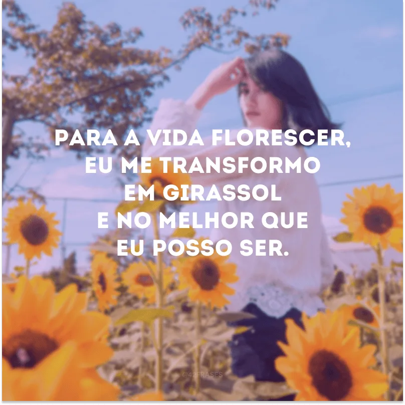 Para a vida florescer, eu me transformo em girassol e no melhor que eu posso ser.