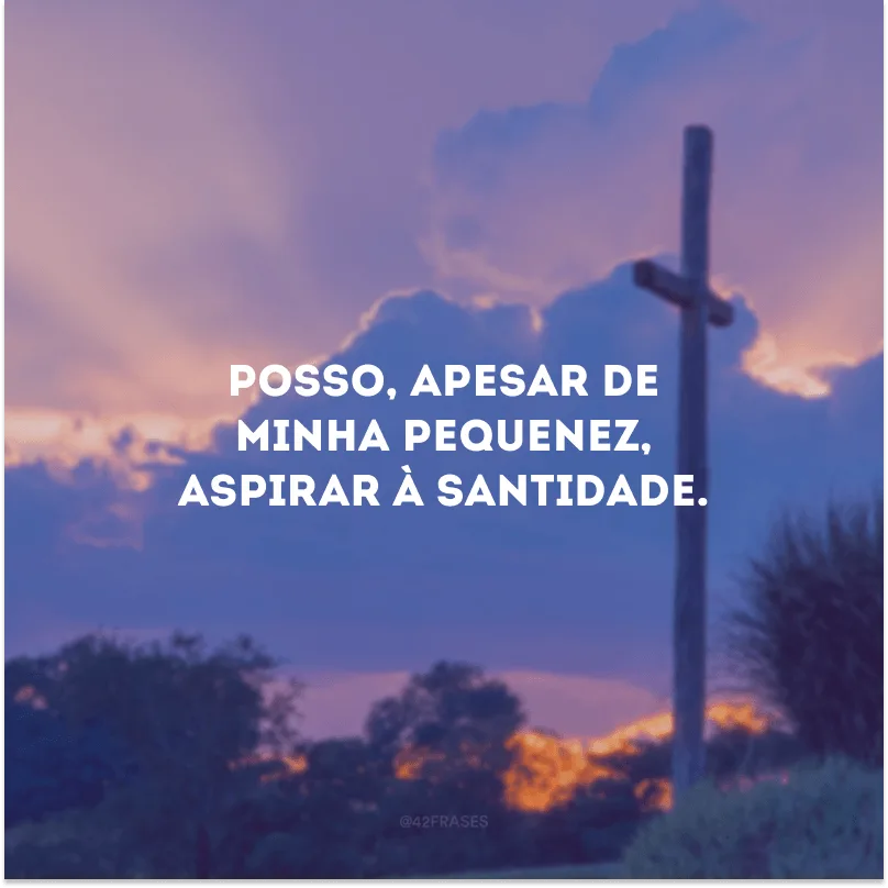 Posso, apesar de minha pequenez, aspirar à santidade.