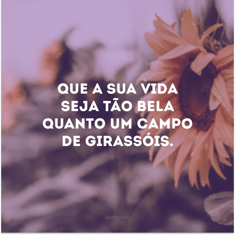 Que a sua vida seja tão bela quanto um campo de girassóis. 