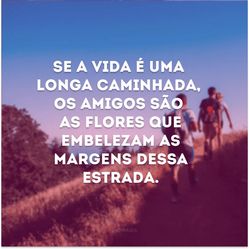 Se a vida é uma longa caminhada, os amigos são as flores que embelezam as margens dessa estrada. 
