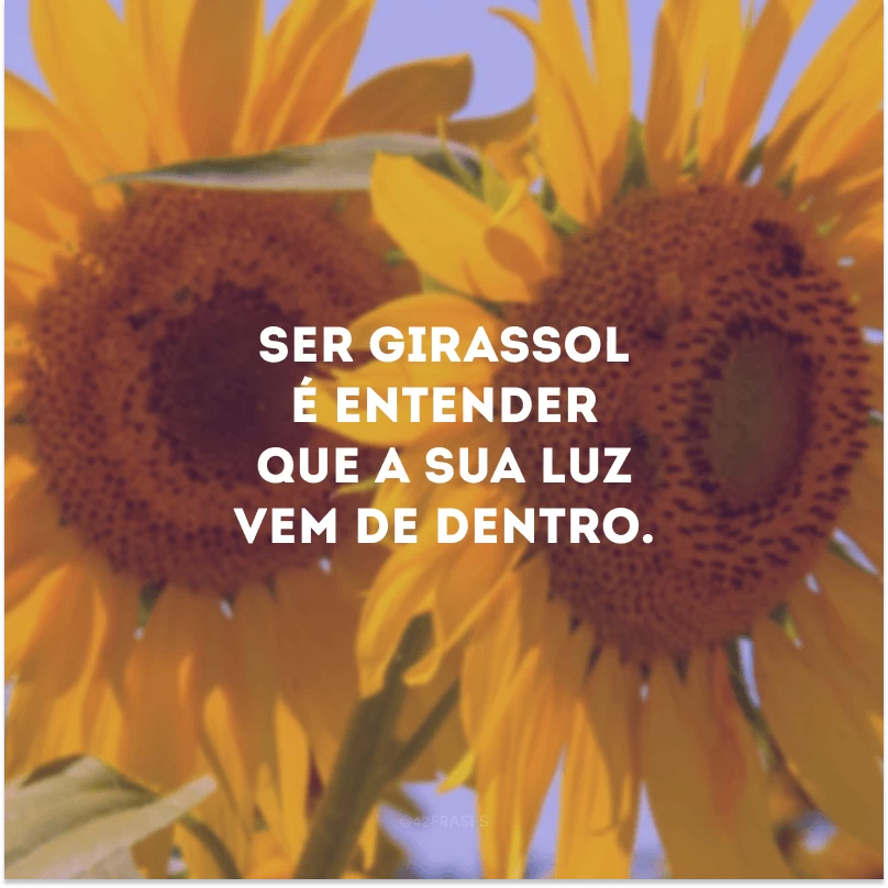 Ser girassol é entender que a sua luz vem de dentro.