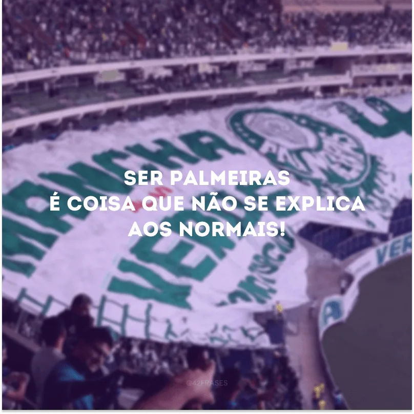Ser Palmeiras é coisa que não se explica aos normais!