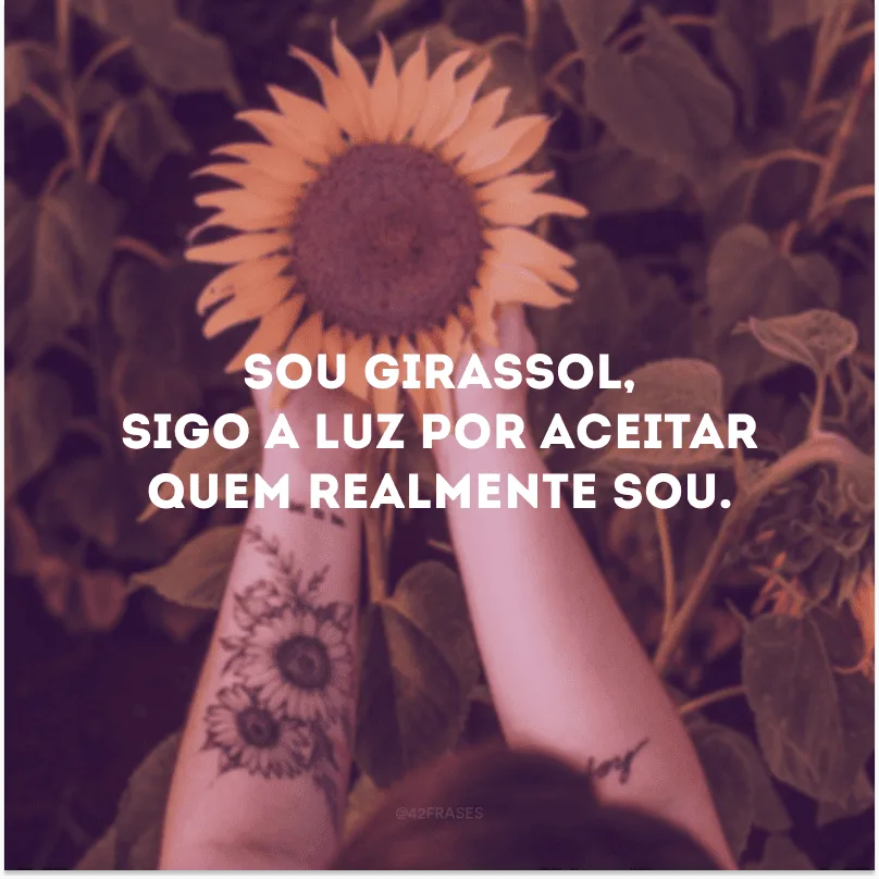 Sou girassol, sigo a luz por aceitar quem realmente sou. 