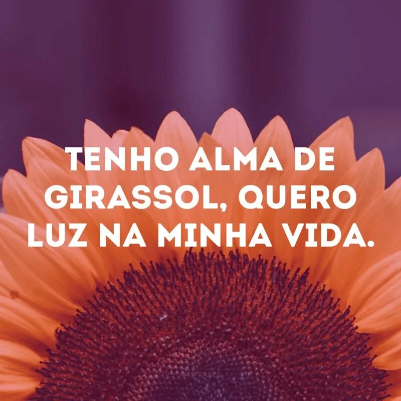 Tenho alma de girassol, quero luz na minha vida.