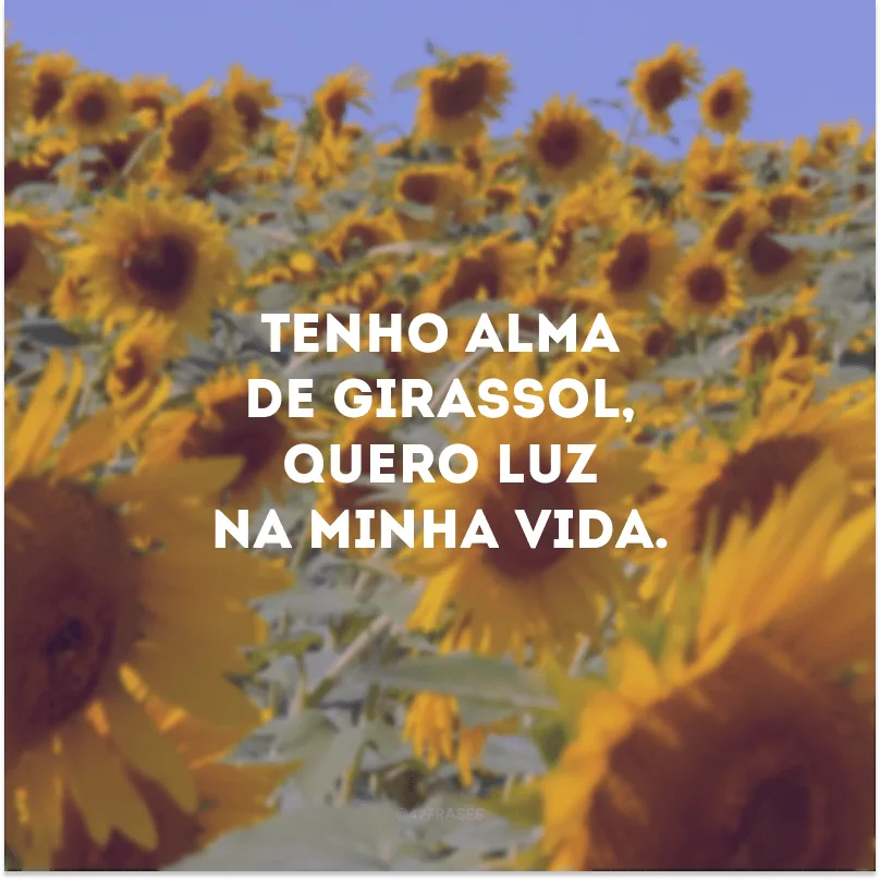 Tenho alma de girassol, quero luz na minha vida. 