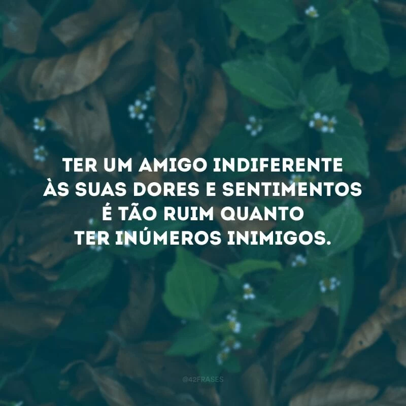 Ter um amigo indiferente às suas dores e sentimentos é tão ruim quanto ter inúmeros inimigos. 