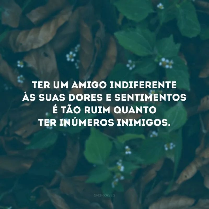 Ter um amigo indiferente às suas dores e sentimentos é tão ruim quanto ter inúmeros inimigos. 