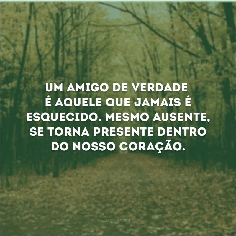 Um amigo de verdade é aquele que jamais é esquecido. Mesmo ausente, se torna presente dentro do nosso coração.