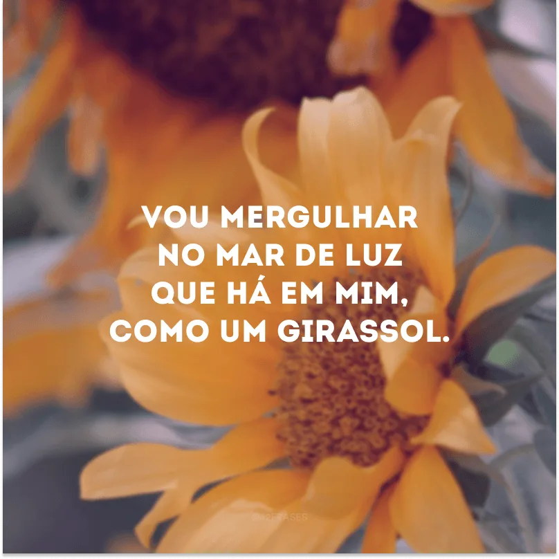 Vou mergulhar no mar de luz que há em mim, como um girassol. 