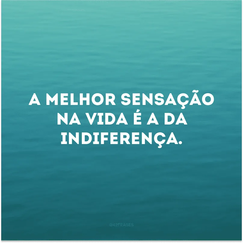 A melhor sensação na vida é a da indiferença.