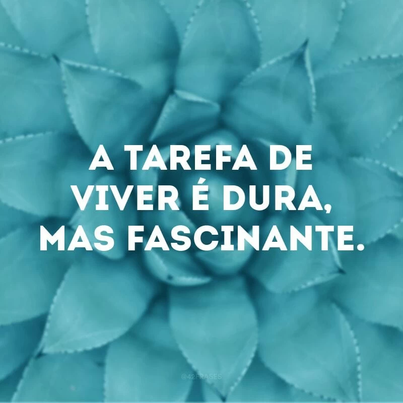 A tarefa de viver é dura, mas fascinante.