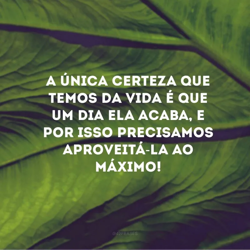 A única certeza que temos da vida é que um dia ela acaba, e por isso precisamos aproveitá-la ao máximo!