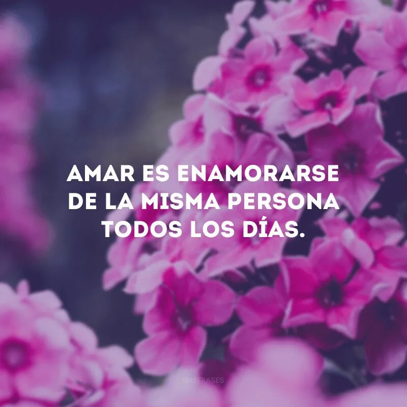 Amar es enamorarse de la misma persona todos los días.
(Amar é se apaixonar pela mesma pessoa todos os dias).