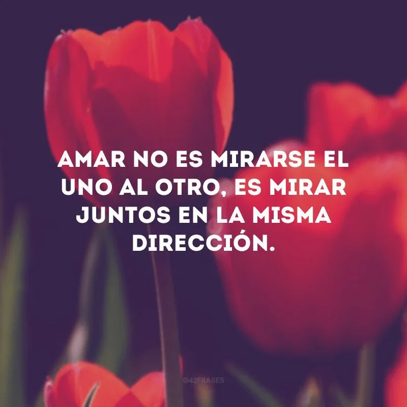 Amar no es mirarse el uno al otro, es mirar juntos en la misma dirección.
(Amar não é olhar um ao outro, é olhar juntos na mesma direção).