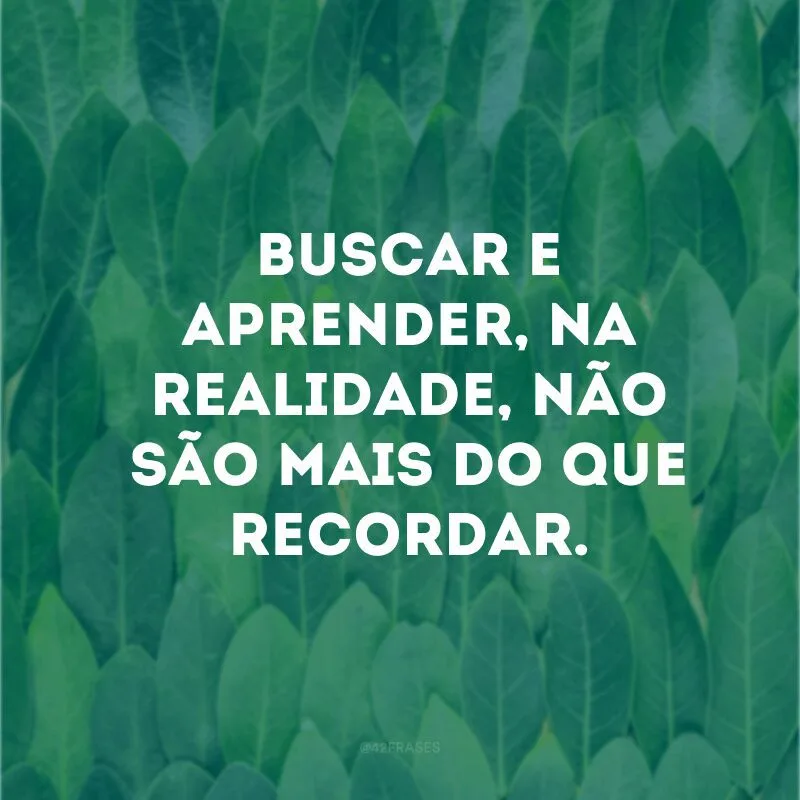 Buscar e aprender, na realidade, não são mais do que recordar.