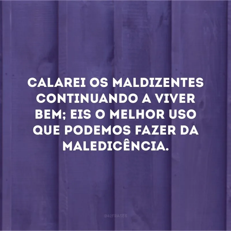 Calarei os maldizentes continuando a viver bem; eis o melhor uso que podemos fazer da maledicência.