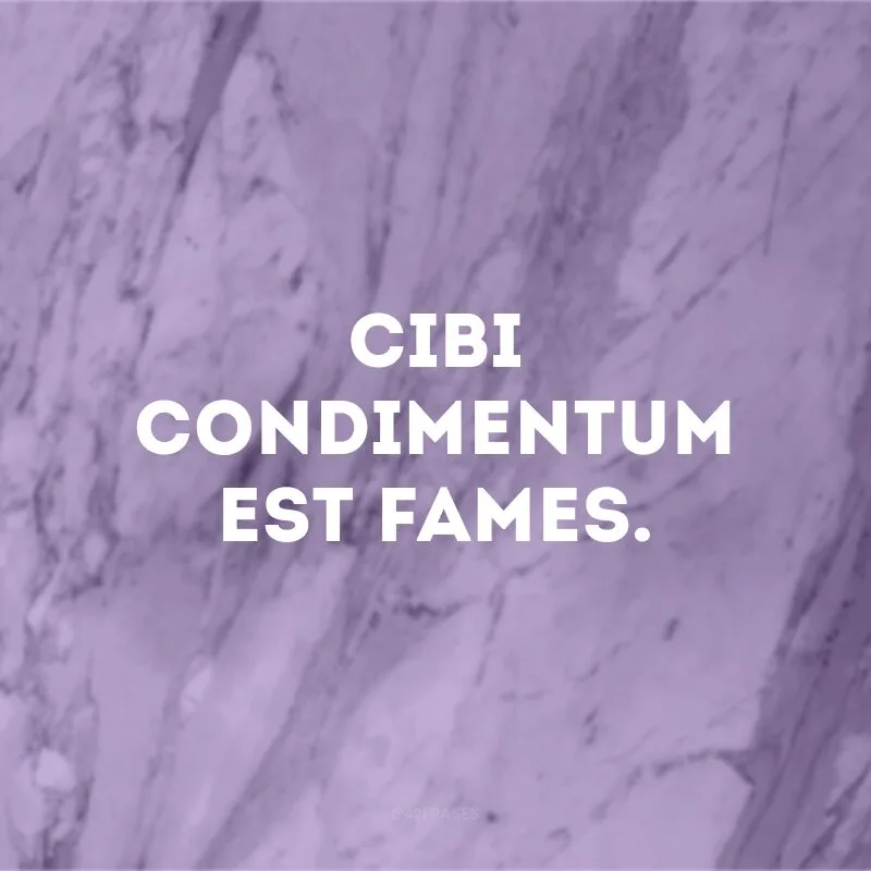 Cibi condimentum est fames. 
(A fome é o melhor tempero.)