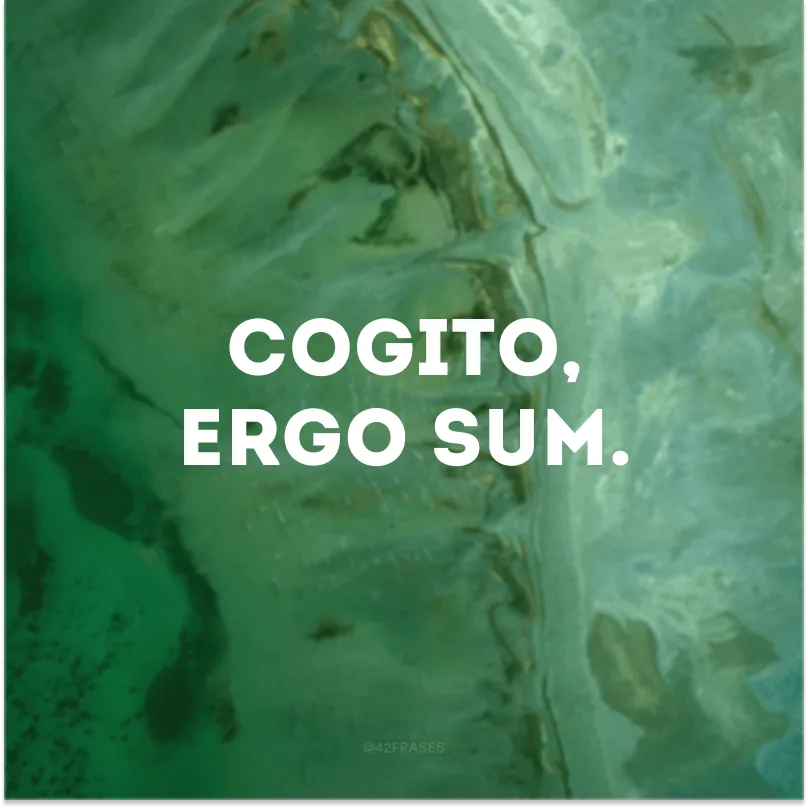 Cogito, ergo sum.
(Penso, logo existo.) 