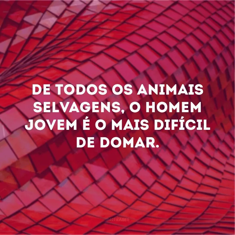 De todos os animais selvagens, o homem jovem é o mais difícil de domar.

